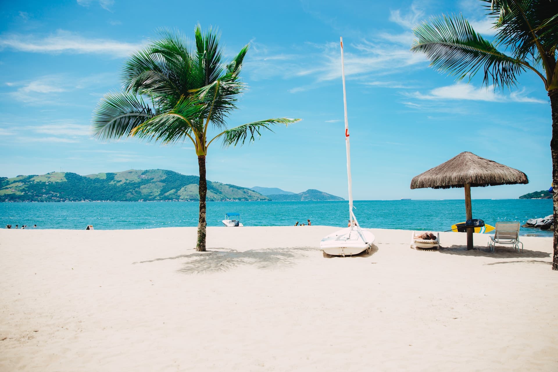 A beach with palm trees